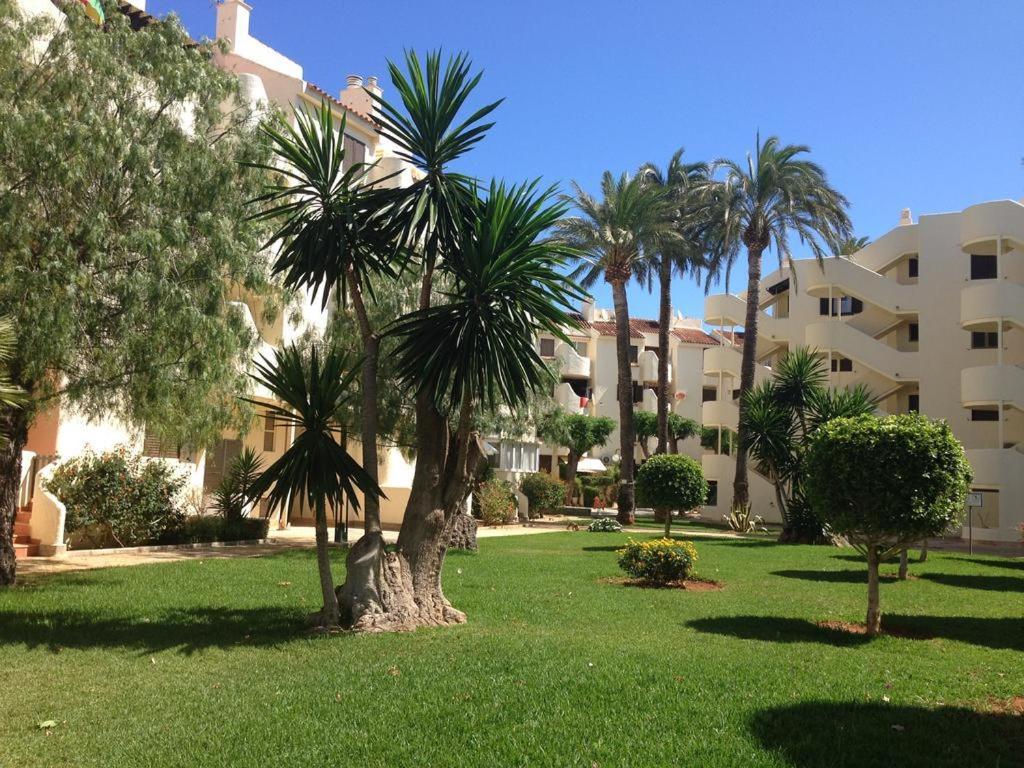 Apartamento Violeta Residencial La Felicidad By Costablancarent Дения Экстерьер фото